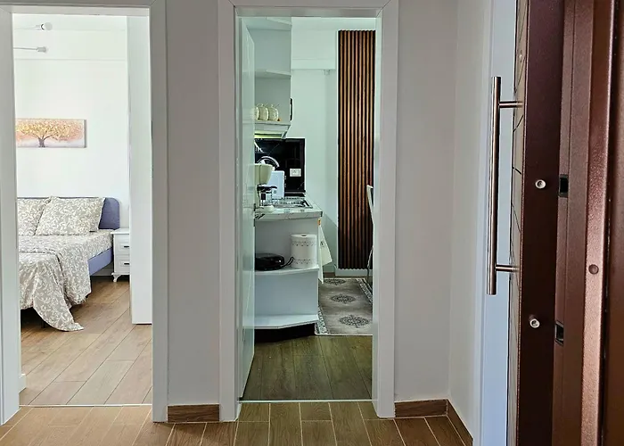 Welcome To Zaimi's 公寓